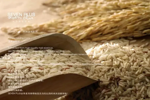 酒店一次性客房洗浴用品  酒店用品推荐  EVO视讯